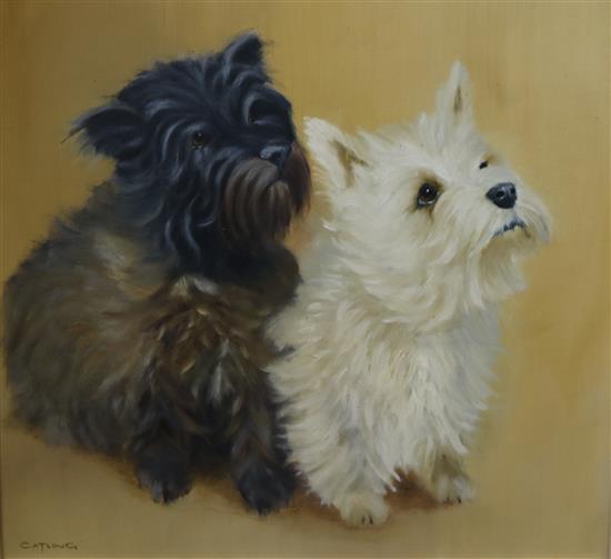Catling, oil on board, portrait of two terriers, 37 x 39cm